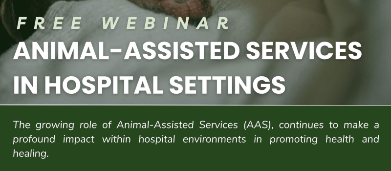 december-webinar-2025 december-webinar-2025