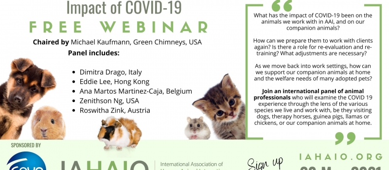 large-may-webinar